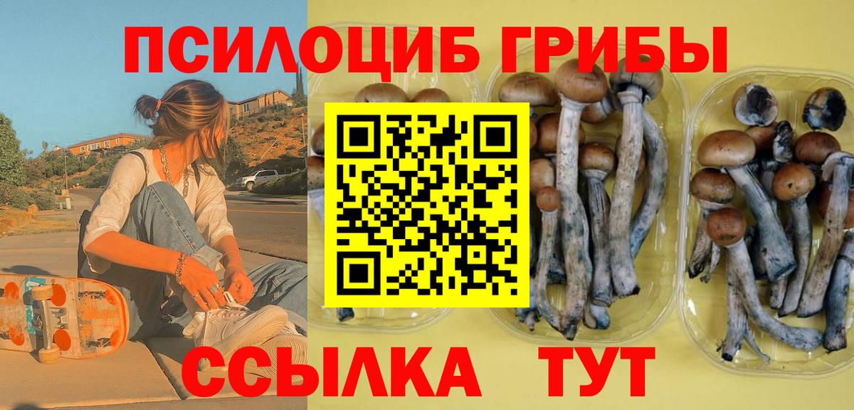 Галлюциногенные грибы прущие грибы Изобильный